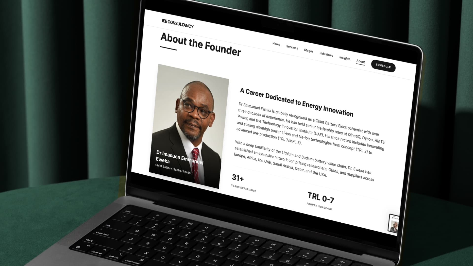 IEE Consultancy — screenshot 2