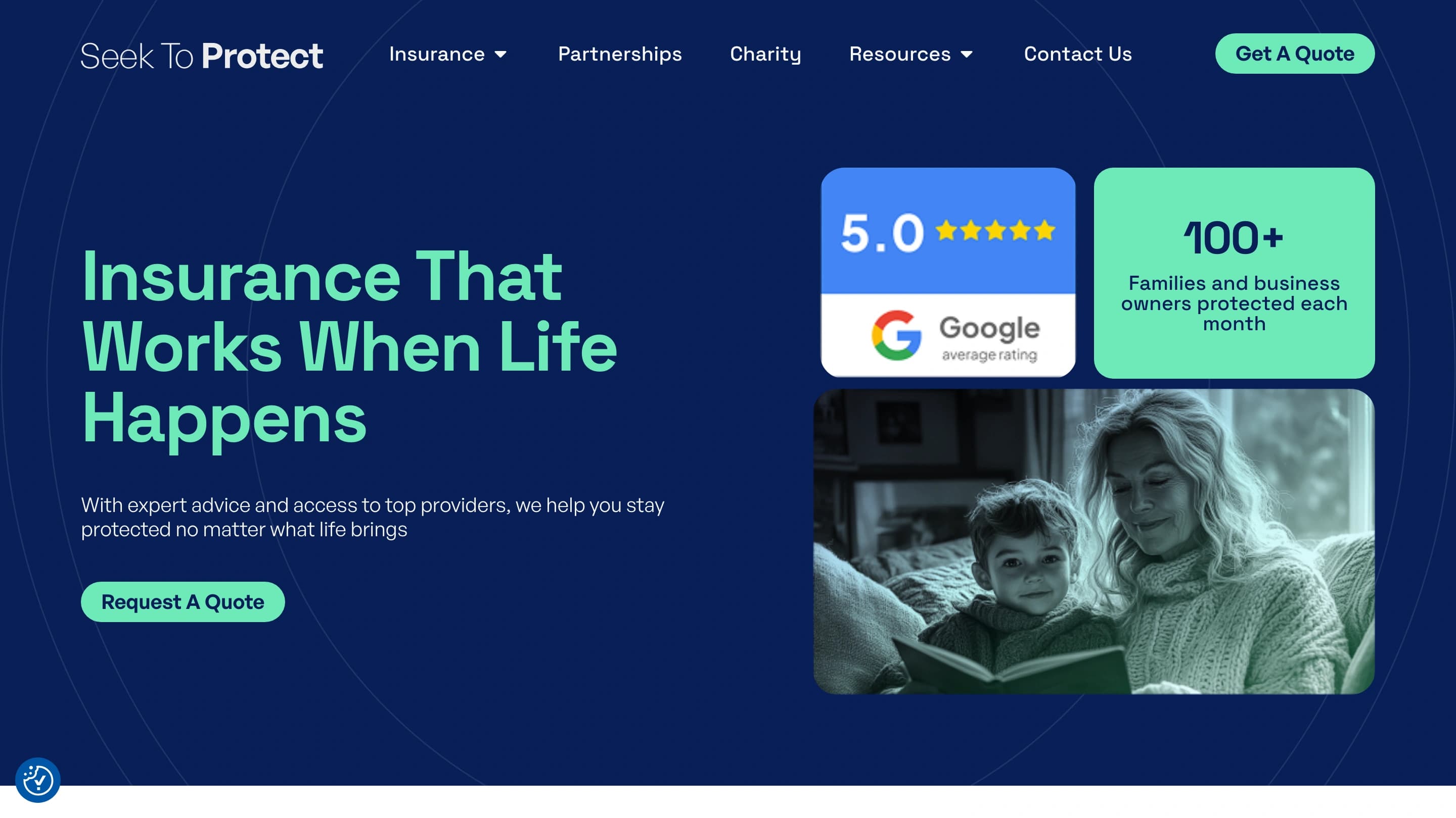 Seek to Protect website design